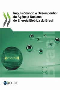Impulsionando O Desempenho Da Agência Nacional de Energia Elétrica Do Brasil