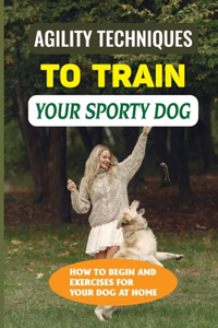 Agility Techniques To Train Your Sporty Dog