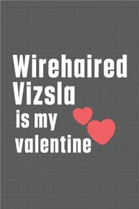 Wirehaired Vizsla is my valentine