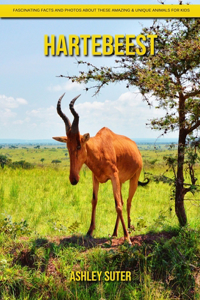 Hartebeest