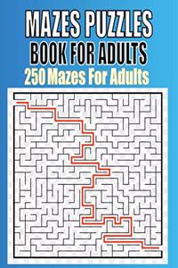 Mazes Puzzles Book For Adults