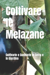 Il Mondo delle Melanzane