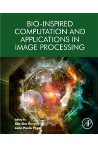 Bio-Inspired Computation and Applications in Image Processing