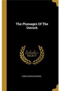 The Plumages Of The Ostrich