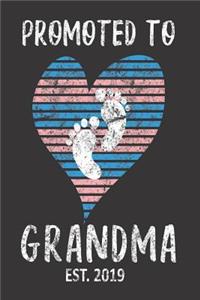 Promoted To Grandma Est. 2019