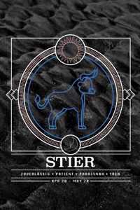 Stier Notizbuch