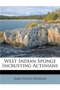 West Indian Sponge Incrusting Actinians