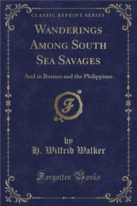 Wanderings Among South Sea Savages
