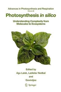 Photosynthesis in Silico