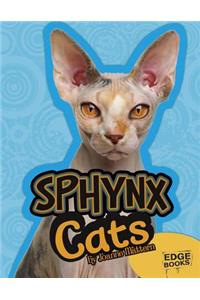 Sphynx Cats