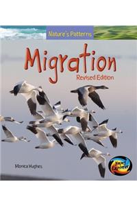 Natures Patterns Migration