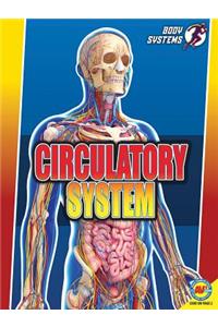 Circulatory System