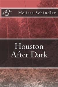 Houston After Dark