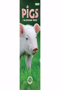 2023 Pigs Slim Plastic Free