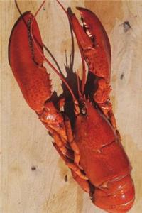 The Lobster Journal
