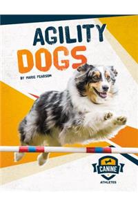 Agility Dogs