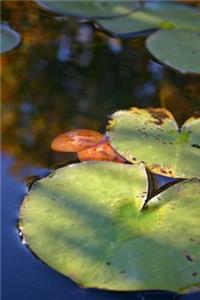Lily Pads in a Pond Journal