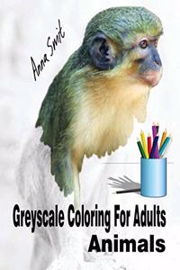 Greyscale Coloring For Adults