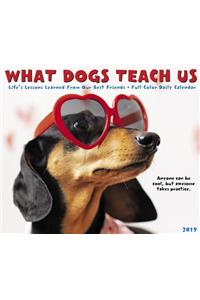 What Dogs Teach Us 2019 Box Calendar