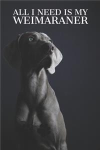 All I need is my Weimaraner
