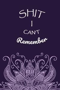 Shit I Can't Remember