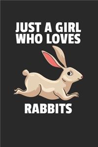Hase Kaninchen Notizbuch