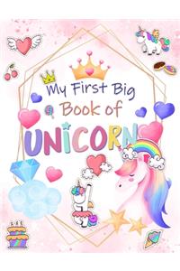 My First Big Book of Unicorn