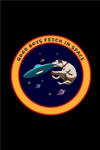 Good Boys Fetch In Space