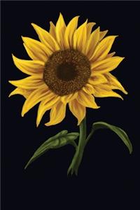 Watercolor Sunflower Positivity Journal