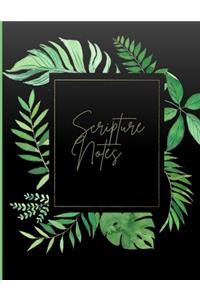 Scripture Notes