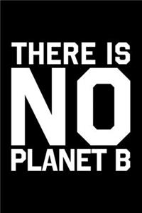 There Is No Planet B Save the World