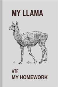 My Llama Ate My Homework