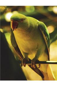 Bird Composition Notebook