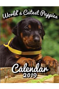 World's Cutest Puppies Calendar 2019