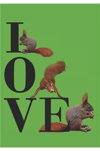 Love: Squirrels, Weekly Planner/Diary /Engagement Book. This 12 Month Diary Contains a Week Per Page Including Weekly To-Do Lists Plus 2019 Personal Goals, Pages for Your Own Notes, Inspirational Quotes, Contacts Lists and a Calendar