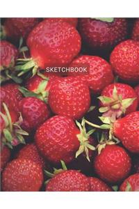 Sketchbook