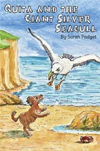 Quita and the Giant Silver Seagull
