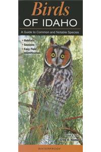 Birds of Idaho: A Guide to Common & Notable Species