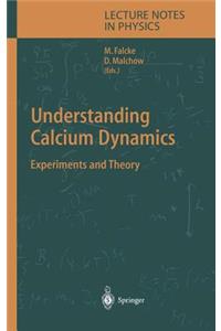 Understanding Calcium Dynamics