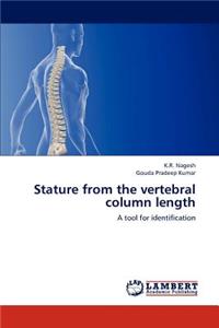 Stature from the vertebral column length