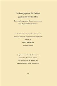 Die Embryogenese des Gehirns paurometaboler Insekten