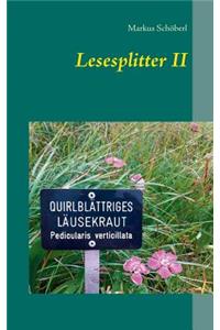 Lesesplitter II