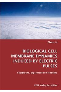 BIOLOGICAL CELL MEMBRANE DYNAMICS INDUCED BY ELECTRIC PULSES- Background, Experiment and Modeling