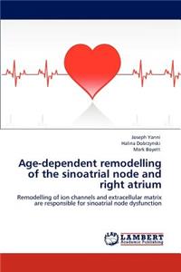 Age-Dependent Remodelling of the Sinoatrial Node and Right Atrium