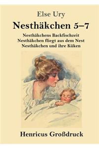 Nesthäkchen Gesamtausgabe in drei Großdruckbänden (Großdruck)