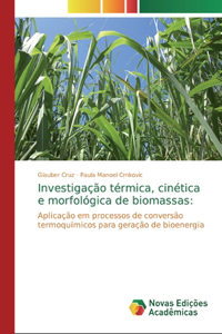 Investigação térmica, cinética e morfológica de biomassas