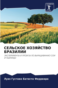 СЕЛЬСКОЕ ХОЗЯЙСТВО БРАЗИЛИИ