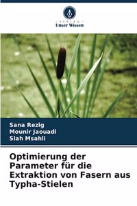 Optimierung der Parameter für die Extraktion von Fasern aus Typha-Stielen