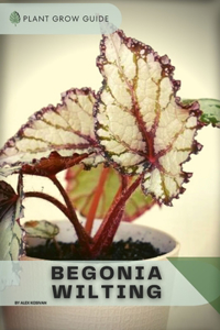 Begonia Wilting