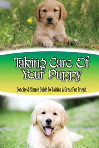 Taking Care Of Your Puppy